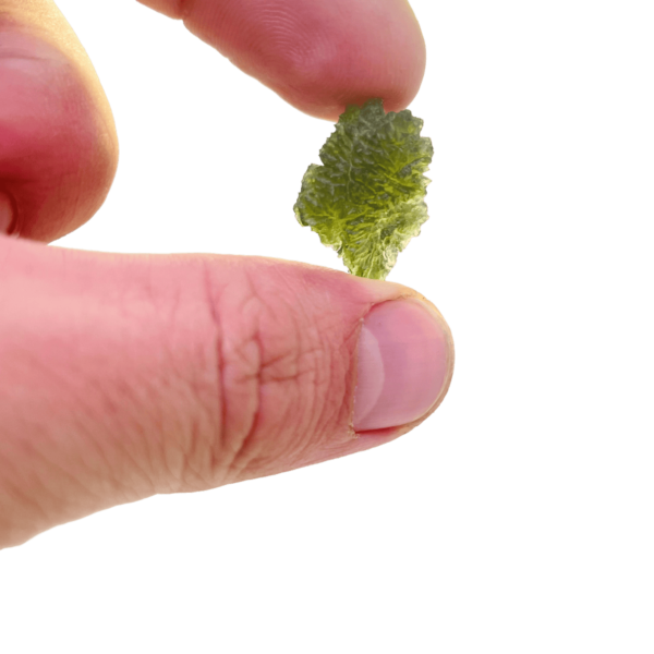 majestic tooth shaped raw hedgehog moldavite from maly chlum (2.21 gr)
