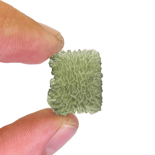 elegant bended square shaped raw hedgehog moldavite from maly chlum (2.67 gr)